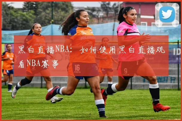 黑白直播NBA:如何使用黑白直播观看NBA赛事